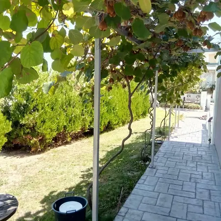 Large Studio With Garden Ferienhaus Kateríni